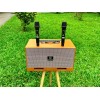 Loa Karaoke Nanomax X-20 Bass 2x20cm 
