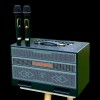 Loa Karaoke Nanomax X-17 Bass Đôi 16cm 320w