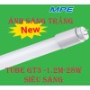 Bóng Đèn Tuýp GT3 MPE (28w ) 1.2m Thủy Tinh Siêu Sáng