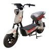 Xe Điện DPAu X-Bull 