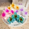 Kẹp Tóc Hình Hoa Sứ 3 Bông Nhiều Màu