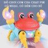 Đồ Chơi Con Cua Cho Bé Có Đèn Và Nhạc